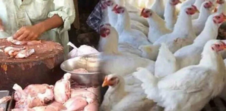 Poultry association, strike call, Karachi
