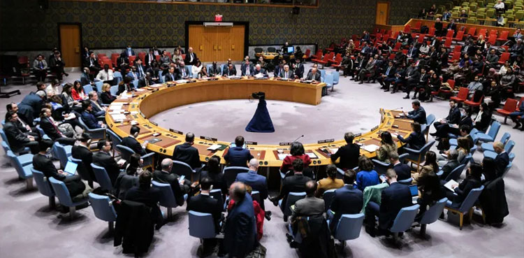 Pakistan, UNSC, Indian naval buildup, Pahalgam