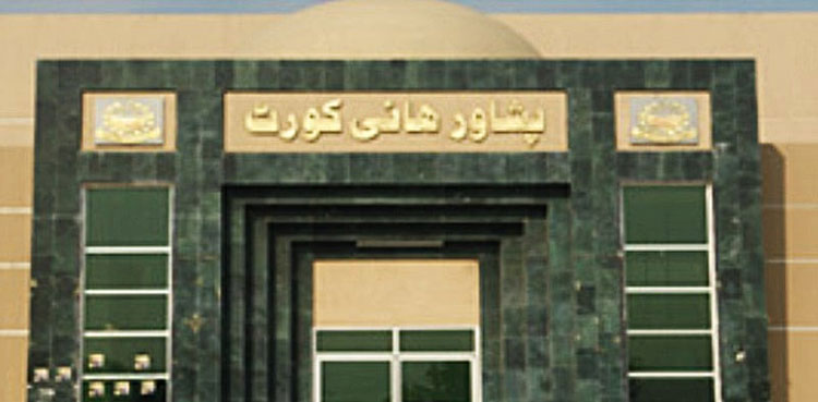 Ten Additional Judges, Peshawar High Court, oath taking