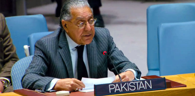 Pakistan, UNSC, TTP weapons