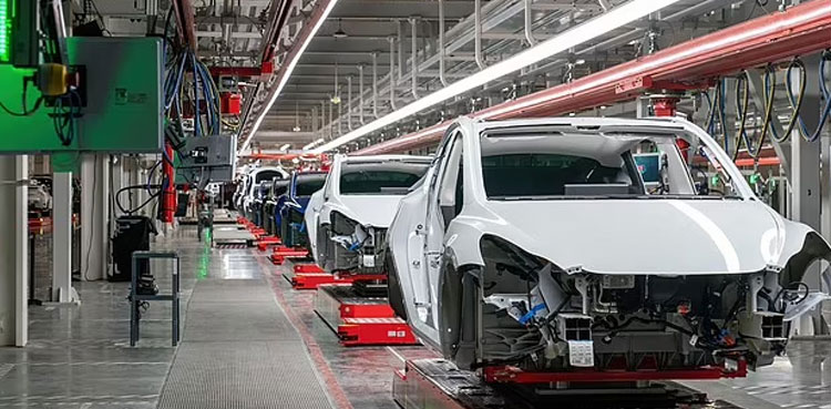 Tesla: Elon Musk viral 2025 prediction