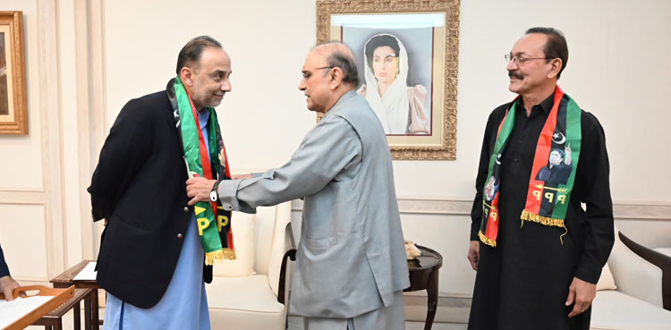 MQM-P, Anees Advocate Raza Haroon, PPP