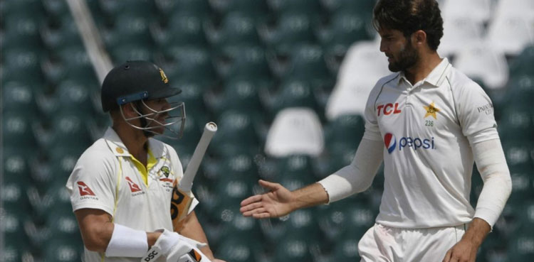Shaheen Shah Afridi, David Warner Afridi, David Warner Test, Pakistan Australia Test