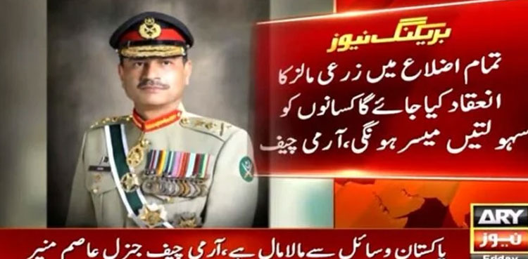 COAS Munir, COAS Munir mafias