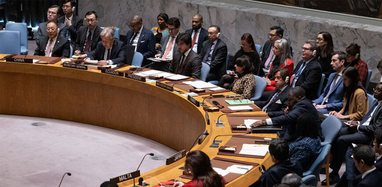 Pakistan, UNSC, Gaza ceasefire