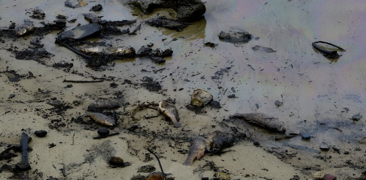 Venezuela oil spill, oil spill