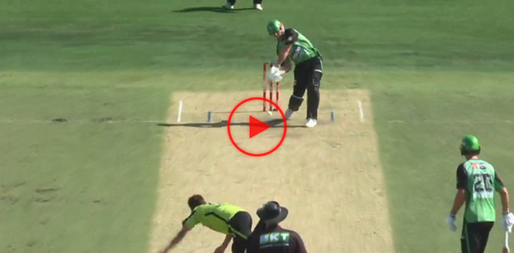 zaman khan, glenn maxwell, sydney thunder, melbourne stars, pakistan, australia, cricket, pakistan cricket, pakistan cricket team, cricket australia, australia cricket team, big bash league, big bash league 2023/24, big bash league 13, bbl, bbl 2023/24, bbl 13, stvms, msvst, st v ms, ms v st, stvsms, msvsst, st vs ms, ms vs st, sydney thunder vs melbourne stars, melbourne stars vs sydney thunder, viral, video, viral video,