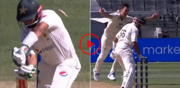 pat cummins, babar azam, pakistan, australia, cricket, pakistan cricket, pakistan cricket team, cricket australia, australia cricket team, ausvpak, pakvaus, aus v pak, pak v aus, ausvspak, pakvsaus, aus vs pak, pak vs aus, australia vs pakistan, pakistan vs australia, viral, video, viral video