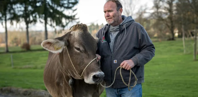 cows-bells-switzerland-vote