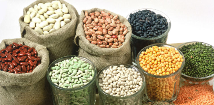hybrid seeds, China, Pakistan, crop production