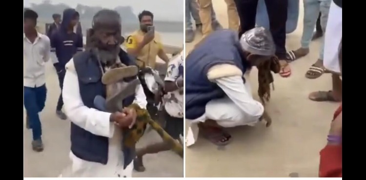 old man torture india, viral video