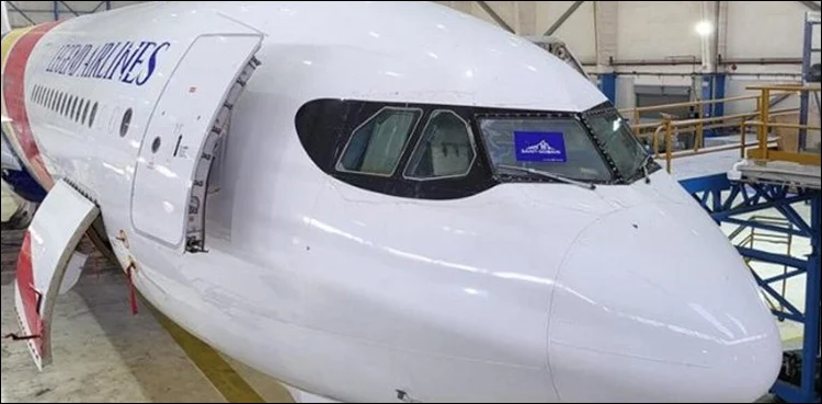 Indian Plane, France trafficking concerns, lands in Mumbai