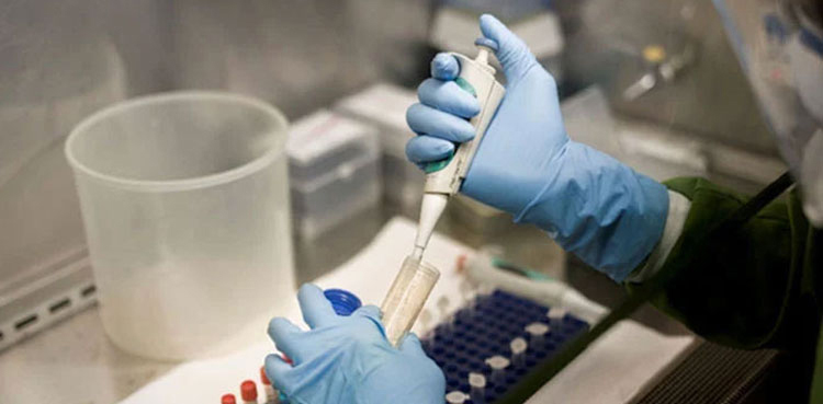 Poliovirus, Pakistan, sewage samples