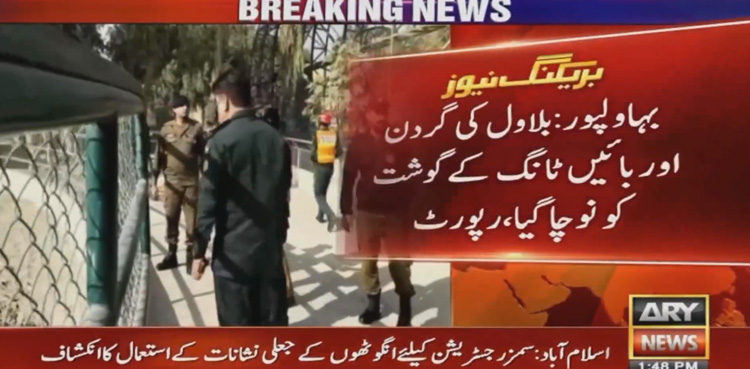 Autopsy, details of attack, Bahawalpur, man mauled by tigers,