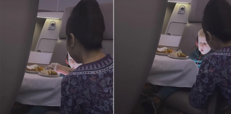 Viral video, Flight attendant, spoon feed child, internet divided