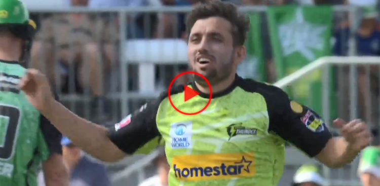 zaman khan, pakistan, sydney thunder, viral video, viral, video, bbl, bbl 2023/24, bbl 13, big bash league, big bash league 2023/24, big bash league 13,