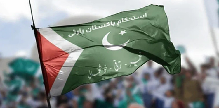 PTI leader, joined IPP, general election 2024