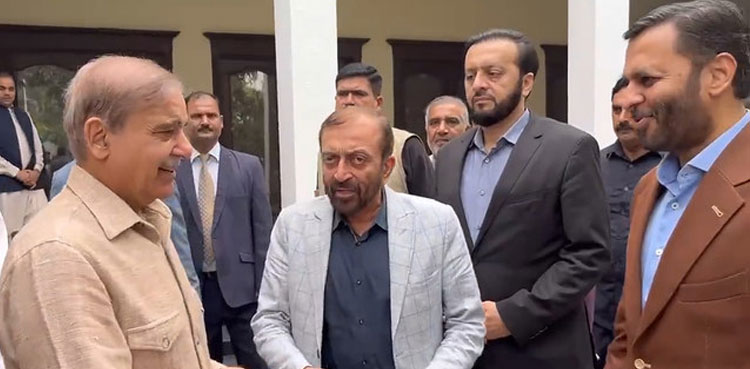 Mustafa Kamal, Elections 2024, MQM-P, Karachi ,Shehbaz Sharif