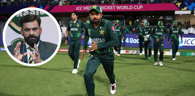PAK vs NZ, Muhammad Hafeez, Pakistan players
