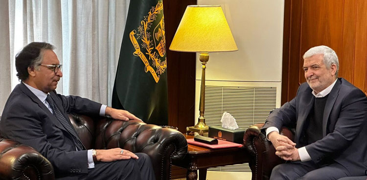 FM Jilani, Pakistan, Afghanistan