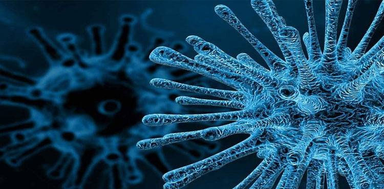 Poliovirus found, sewage samples, seven districts