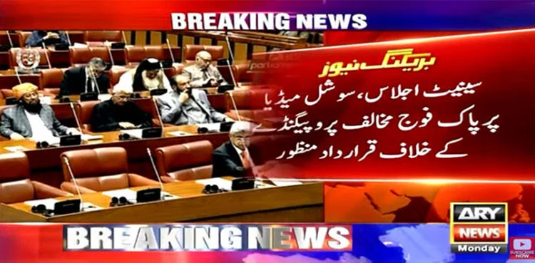 Pakistan armed forces, resolution, propaganda armed forces, Senate