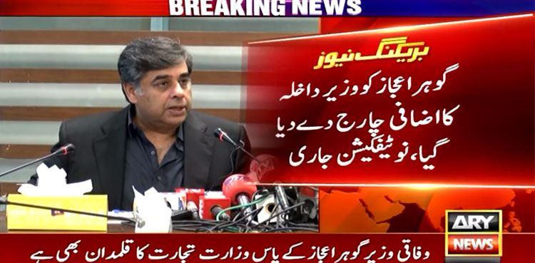 Gohar Ejaz, interior ministry
