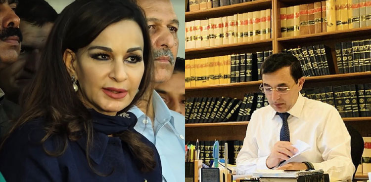 Political parties, Senate resolution, delay in elections