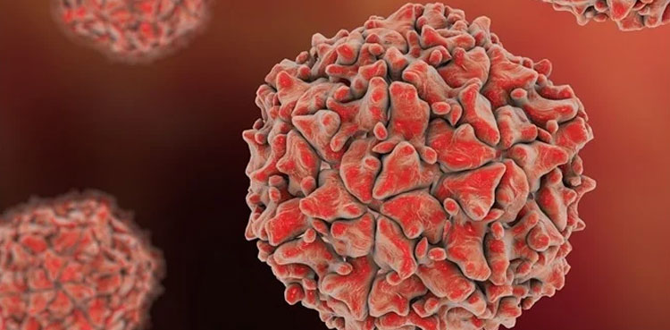 Polio virus, polio in Pakistan, Pakistan