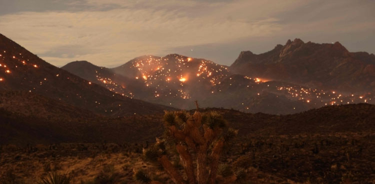 2023 hottest year, Earth