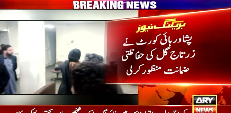 PTI, Zartaj Gul, protective bail, PHC ,