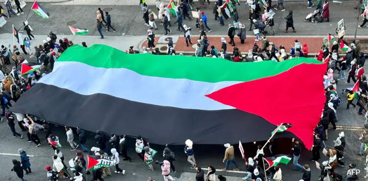pro-Palestinian rally rio, g20 summit
