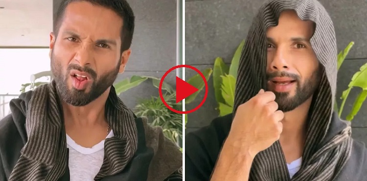 shahid kapoor, viral, reel, instagram