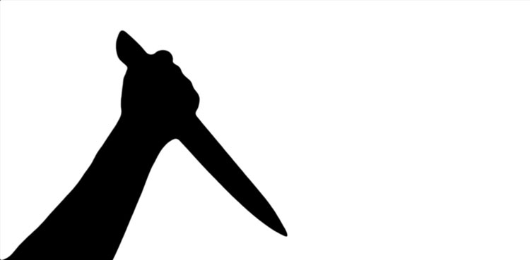 Software company's CEO killing