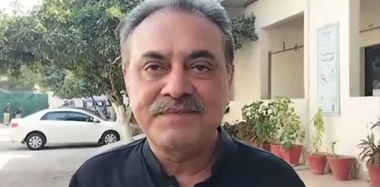 Khawaja Sohail Mansoor, quits, PPP