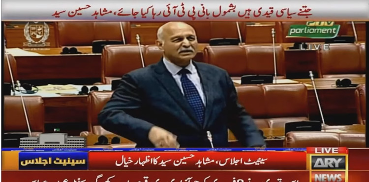 Senator Mushahid Hussain, General Amnesty, political prisoners, PTI founder