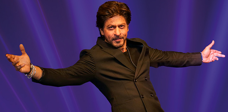 shah rukh khan, shah rukh, toxic, toxic: a fairy tale for grown-ups, toxic: a fairy tale for grown-ups film, toxic film, bollywood, south indian, bollywood film, south indian film