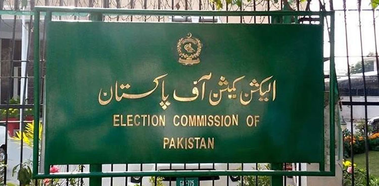 cec appointment, omar ayub, consultation, PM