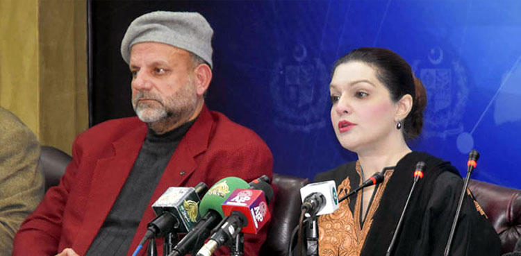Mushaal Mullick, Kashmir dispute