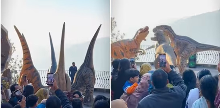 Viral video, Dinosaurs dance, Nach Punjaban song