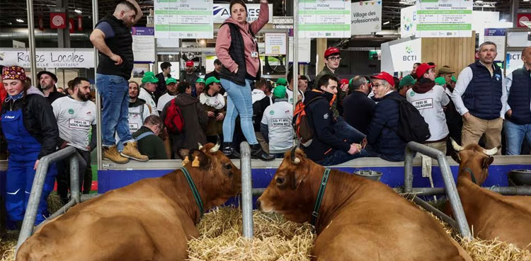 France: Farmers storm into farm fair in Paris