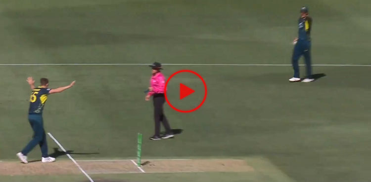 australia, west indies, cricket, cricket australia, australia cricket team, west indies, cricket west indies, west indies cricket team, viral, video, viral video, ausvwi, wivaus, aus v wi, wi v aus, ausvswi, wivsaus, aus vs wi, wi vs aus, australia vs west indies, west indies vs australia, australia v west indies, west indies v australia,