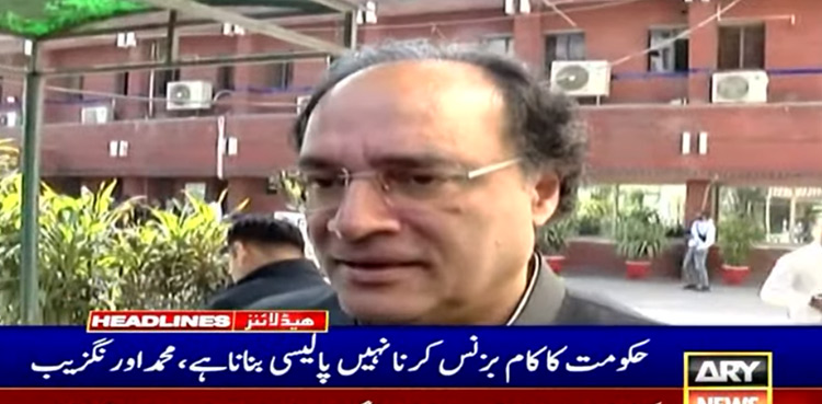 Muhammad Aurangzeb, PIA privatization, Senate election
