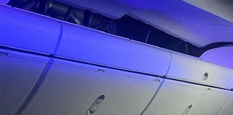 Boeing 787 airliner