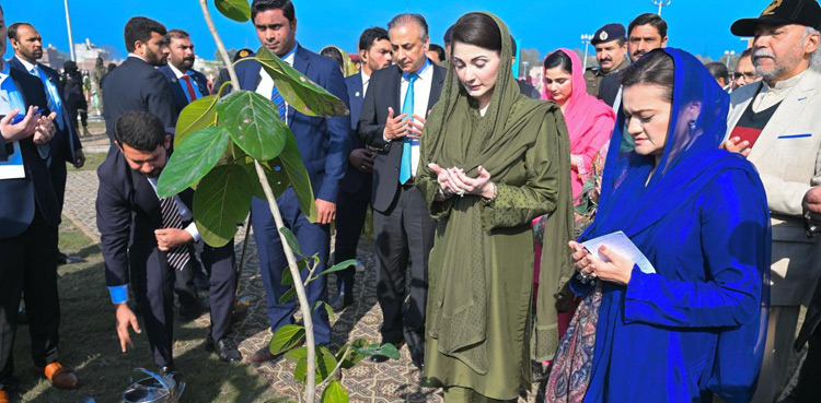 Maryam-Nawaz-Punjab-CM-plantation-drive