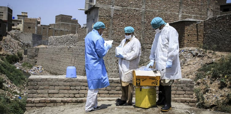 Polio vaccination, Saudi Arabia, Pakistan