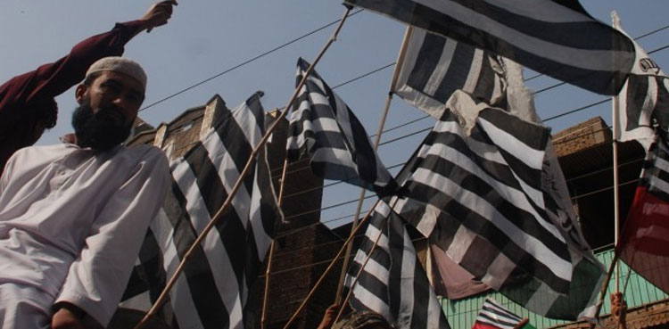 JUI-F, JUI-F protest, JUI-F general elections
