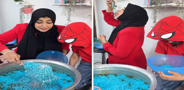 Spiderman biryani, Viral spiderman biryani