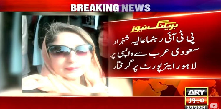 PTI Alia Shehzad, May 9 violence