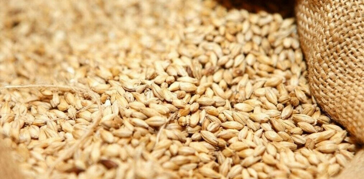 wheat imports, Pakistan, decreased